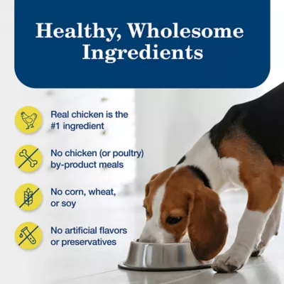 Product Blue Buffalo® Homestyle Recipe Healthy Weight Adult Wet Dog Food - Chicken Dinner, 12.5 oz