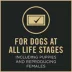 Purina Pro Plan Sport Active 27/17 All Life Stage Dry Dog Food - Chicken & Rice image thumbnail 7