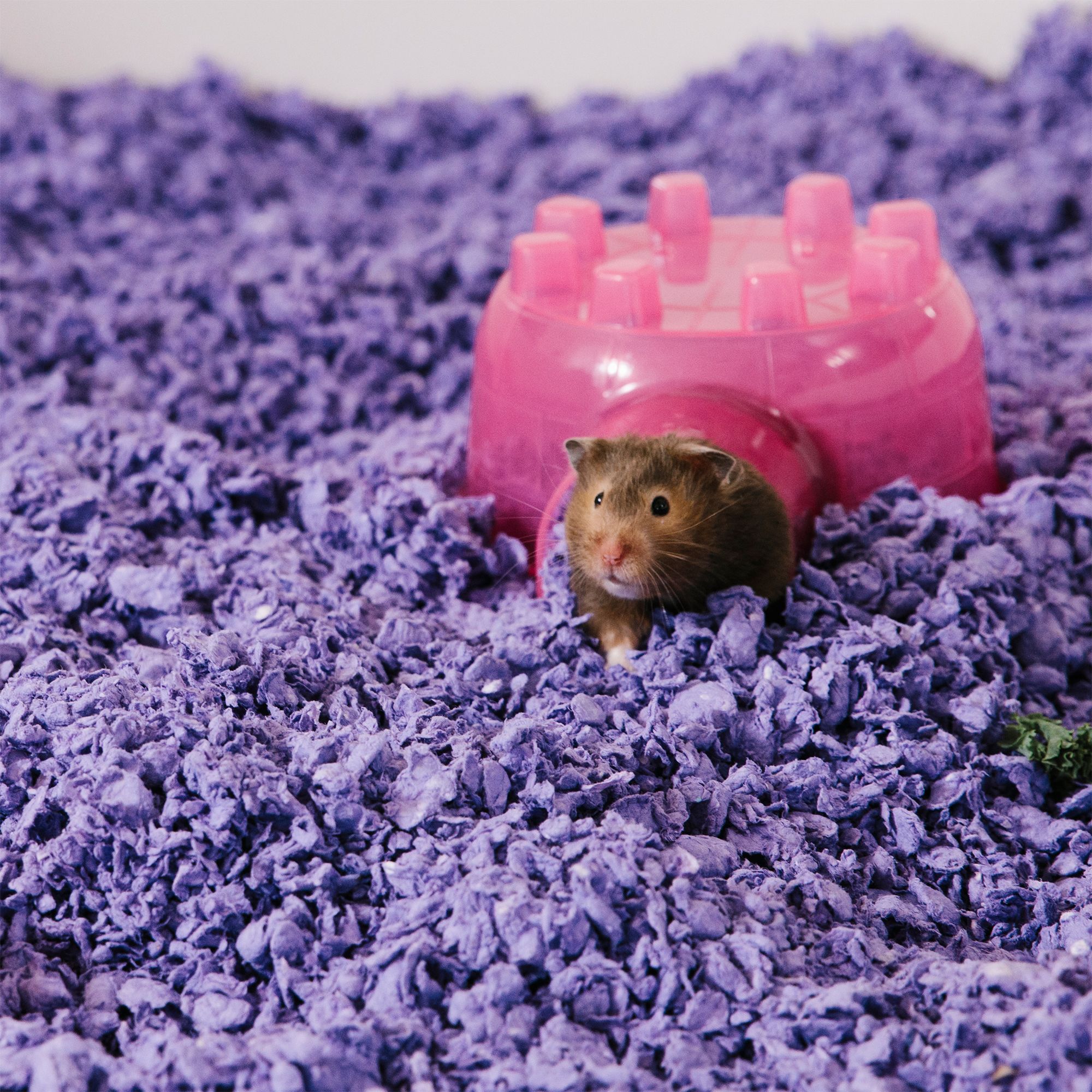 carefresh colorful creations