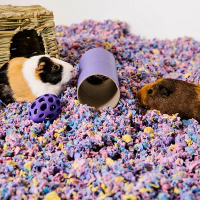 Product carefresh® Special Edition Small Pet Bedding - Sprinkles