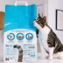 Okocat® Original Clumping Wood Cat Litter - Low Dust, Natural image thumbnail 2