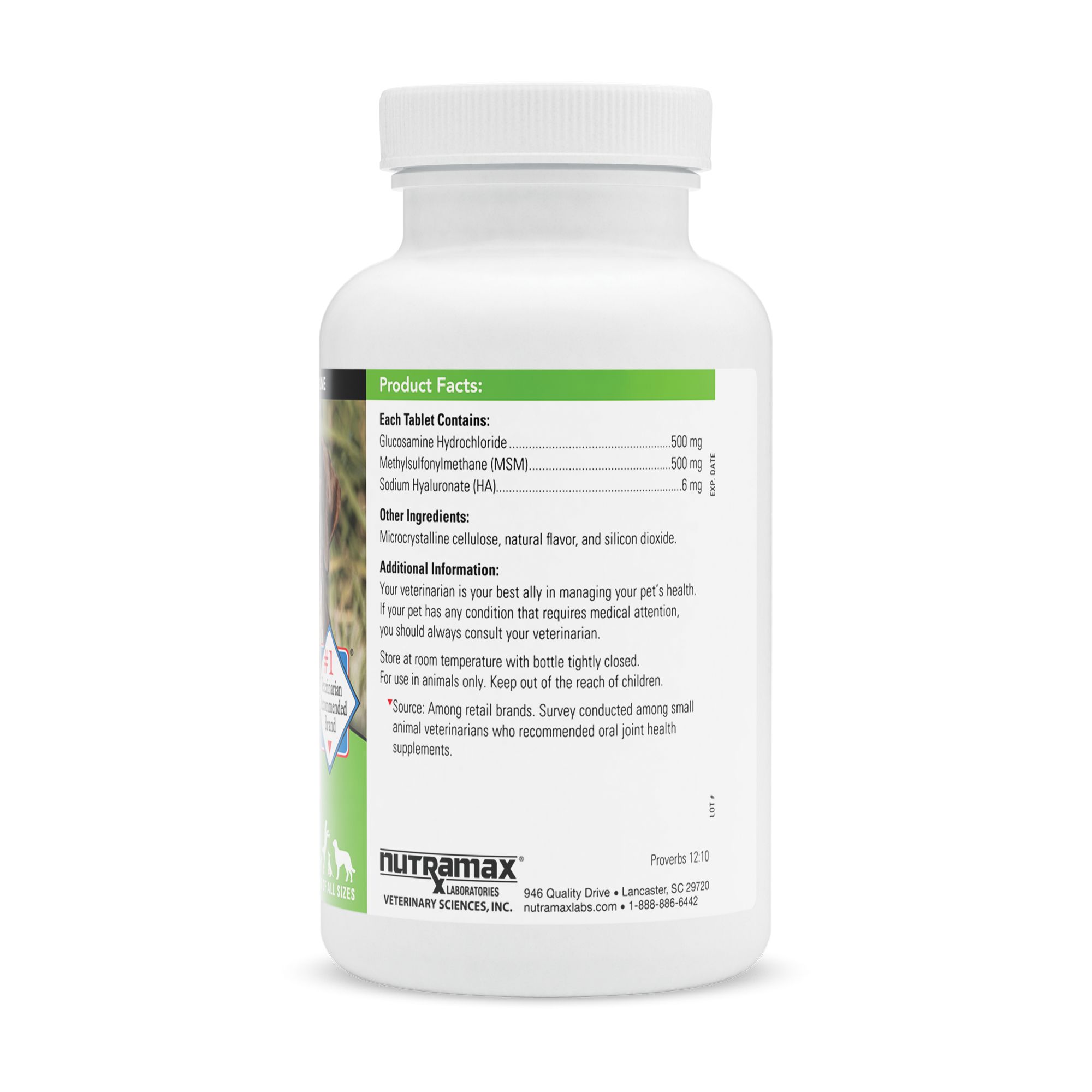 cosequin for dogs petsmart