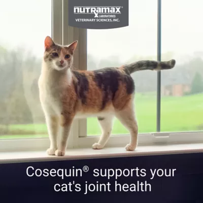 Product Cosequin® Joint Health Maximum Strength + Boswellia Cat Supplement