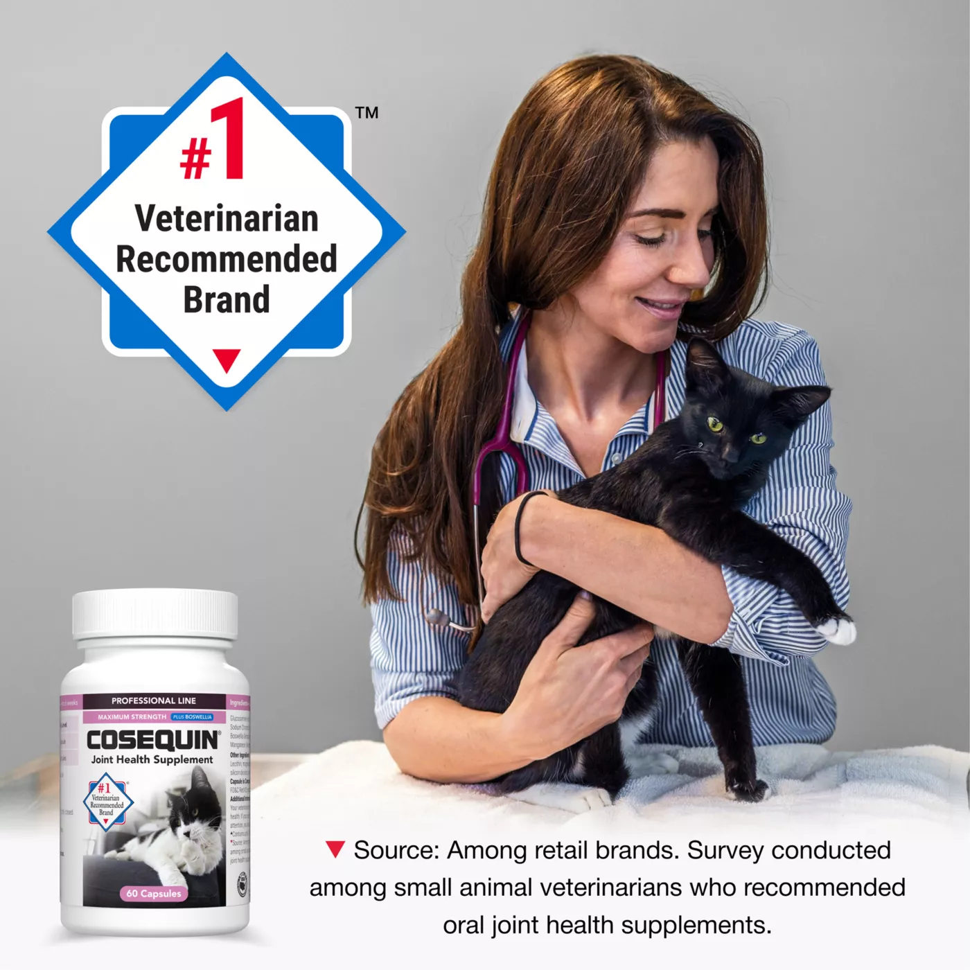 Glucosamine for cats petsmart best sale