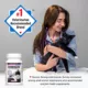 Product Cosequin® Joint Health Maximum Strength + Boswellia Cat Supplement