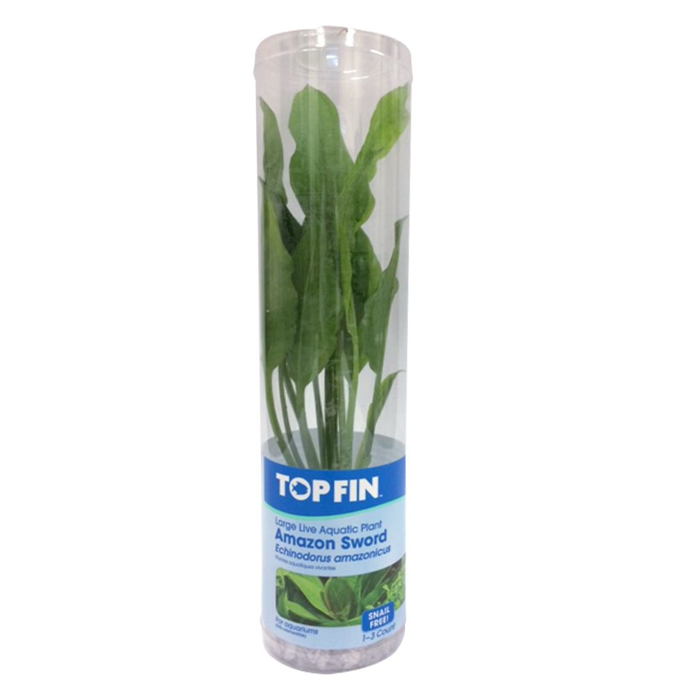 Petsmart hot sale fish plants