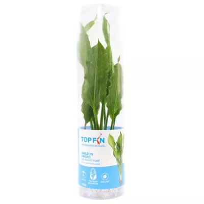 Product Top Fin® Amazon Sword Live Plant