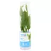 Top Fin® Amazon Sword Live Plant image thumbnail 3