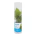 Top Fin® El Nino Fern Live Plant image thumbnail 3