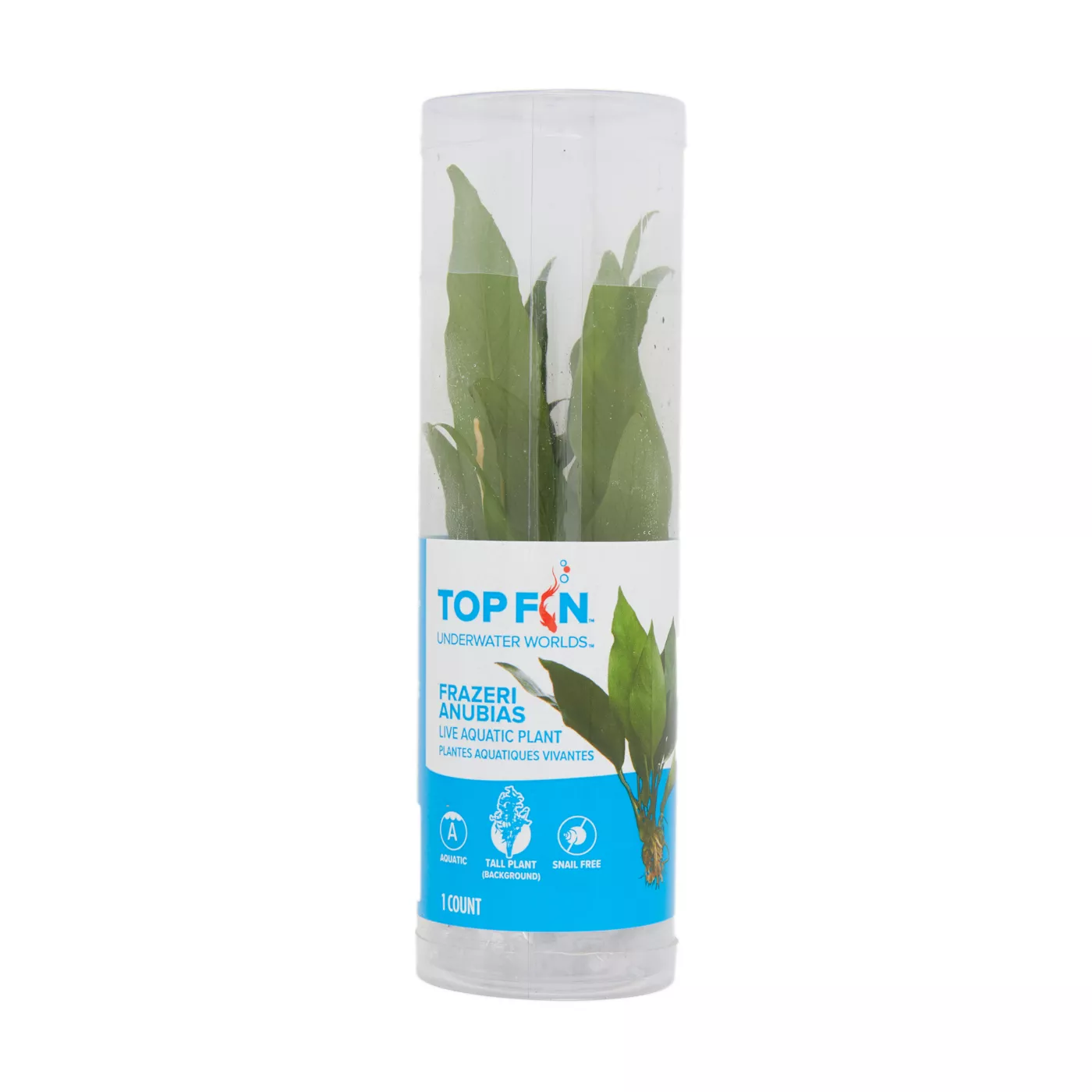 Live aquarium plants petsmart sale