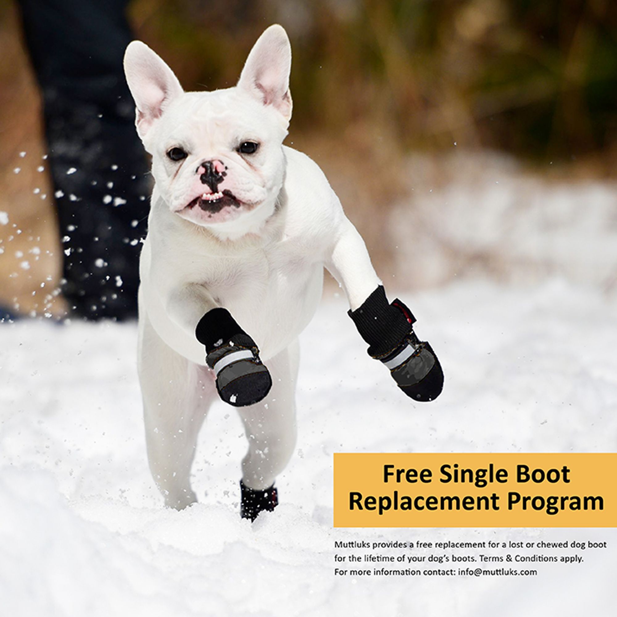 muttluk dog boots