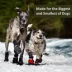 Muttluks Fleece-Lined Dog Boots image thumbnail 5