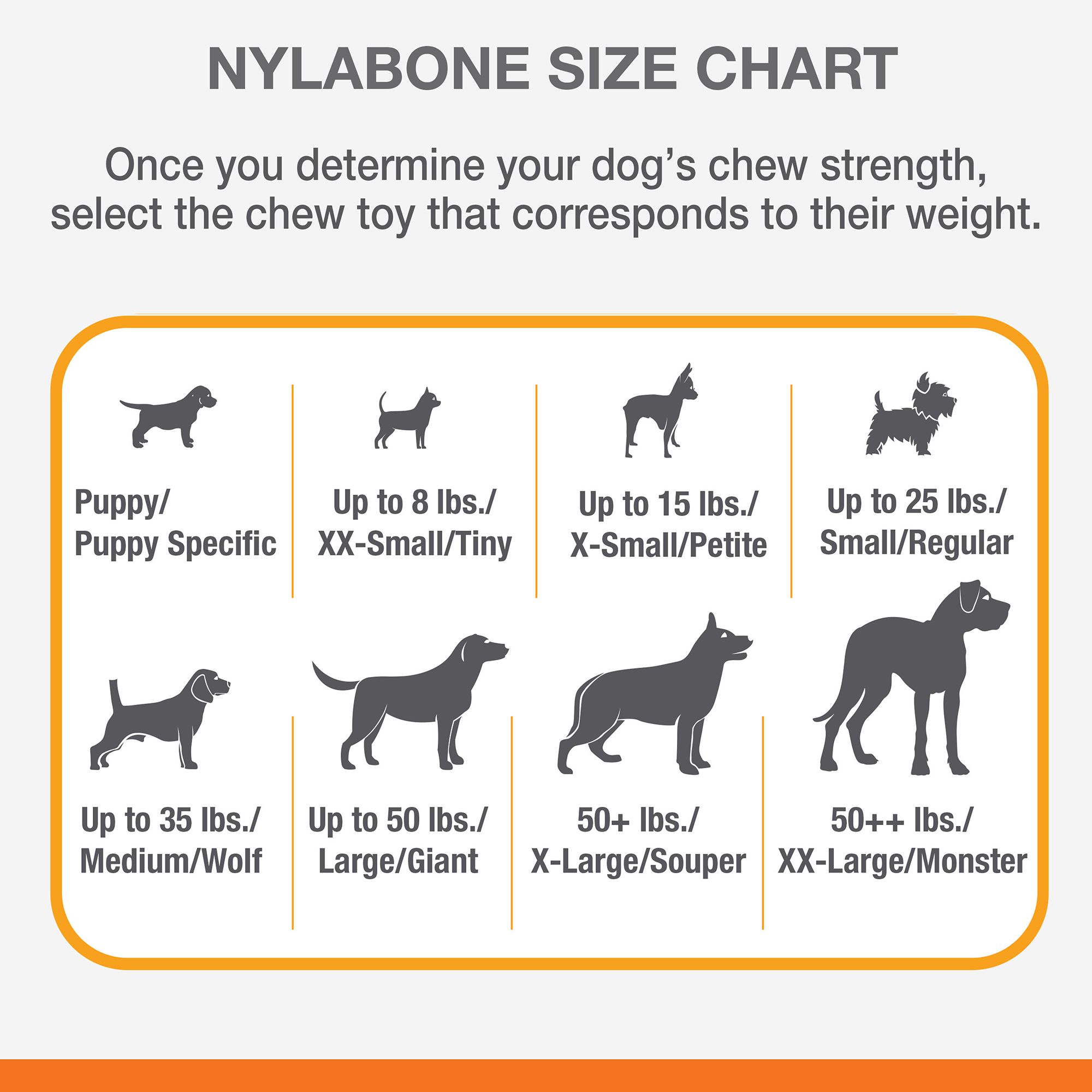 can nylabones make dogs sick