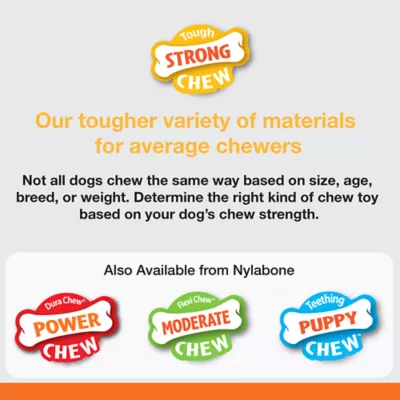 Product Nylabone® Flavor Frenzy Bacon Cheeseburger Chew Dog Toy