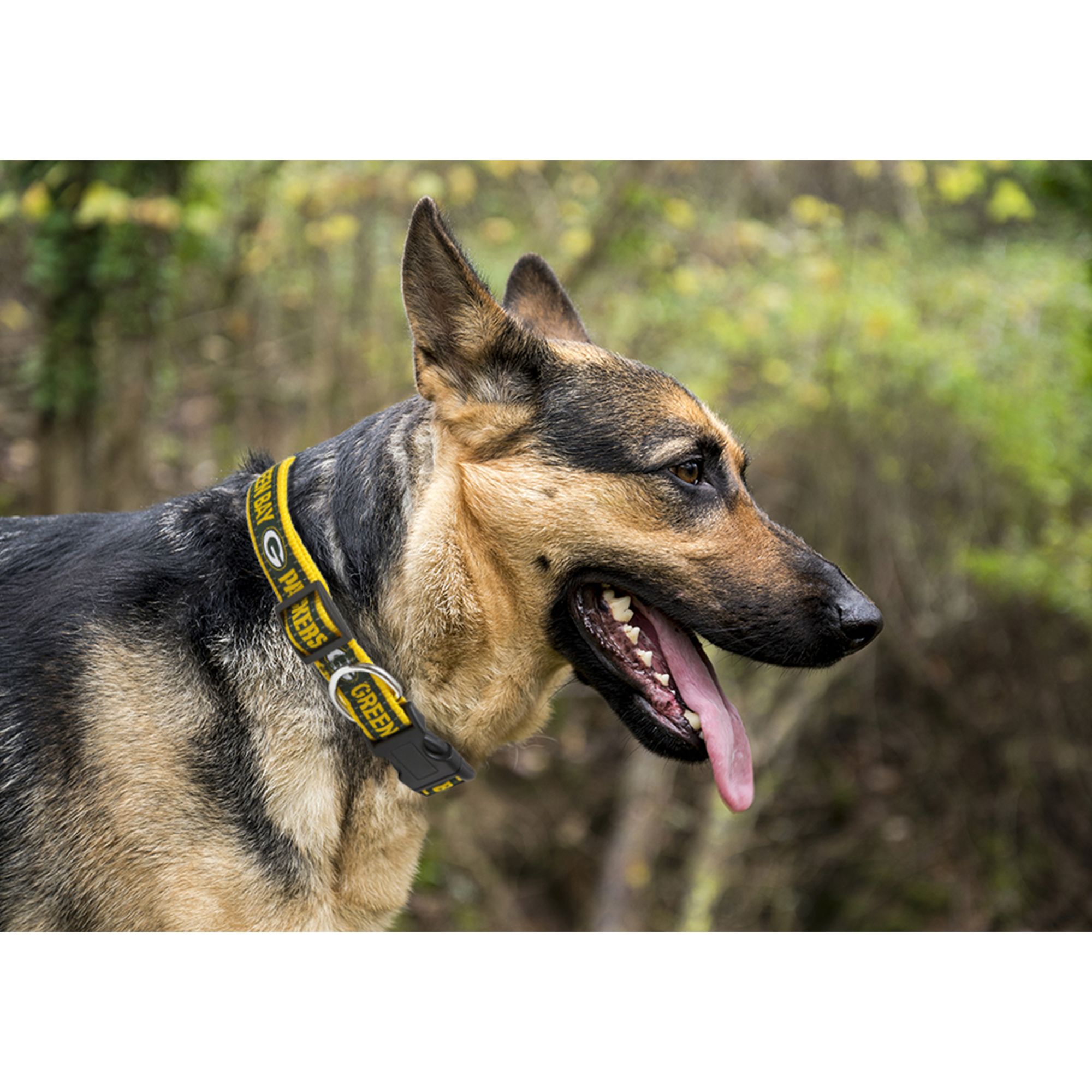 Green Bay Packers Nfl Dog Collar Dog Collars Petsmart