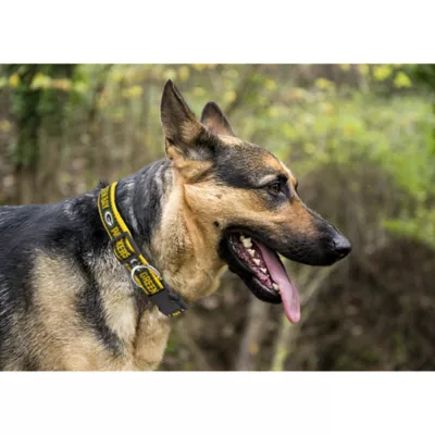 Product Green Bay Packers NFL Dog Collar