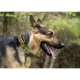 Product Green Bay Packers NFL Dog Collar
