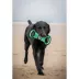 Green Bay Packers NFL Field Dog Toy image thumbnail 2