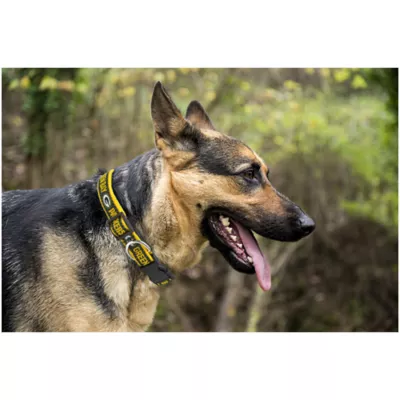 Product Green Bay Packers NFL Dog Collar