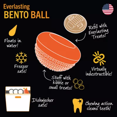 Starmark Everlasting Treat Bento Ball Dog Toy Chicken Flavor