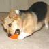 Starmark® Everlasting Treat Bento Ball Dog Toy, Chicken Flavor image thumbnail 4