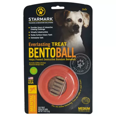 Product Starmark® Everlasting Treat Bento Ball Dog Toy - Chicken Flavor