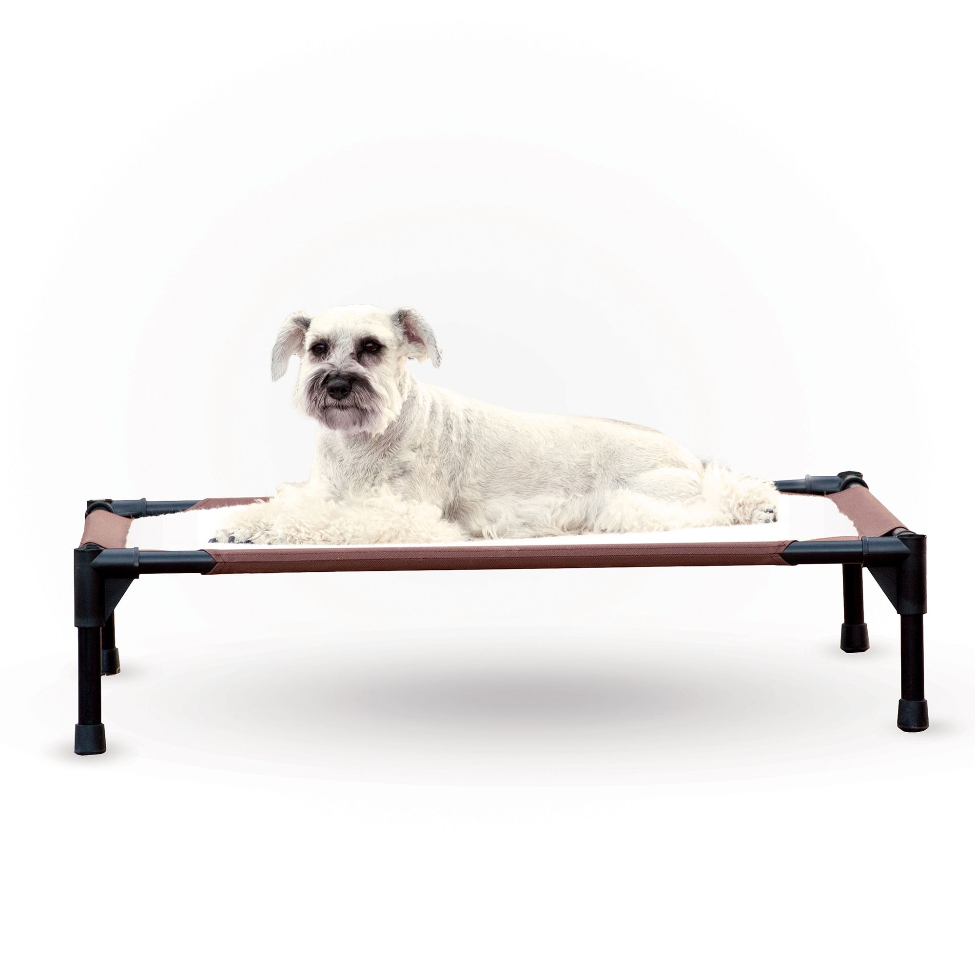 pet cot near me