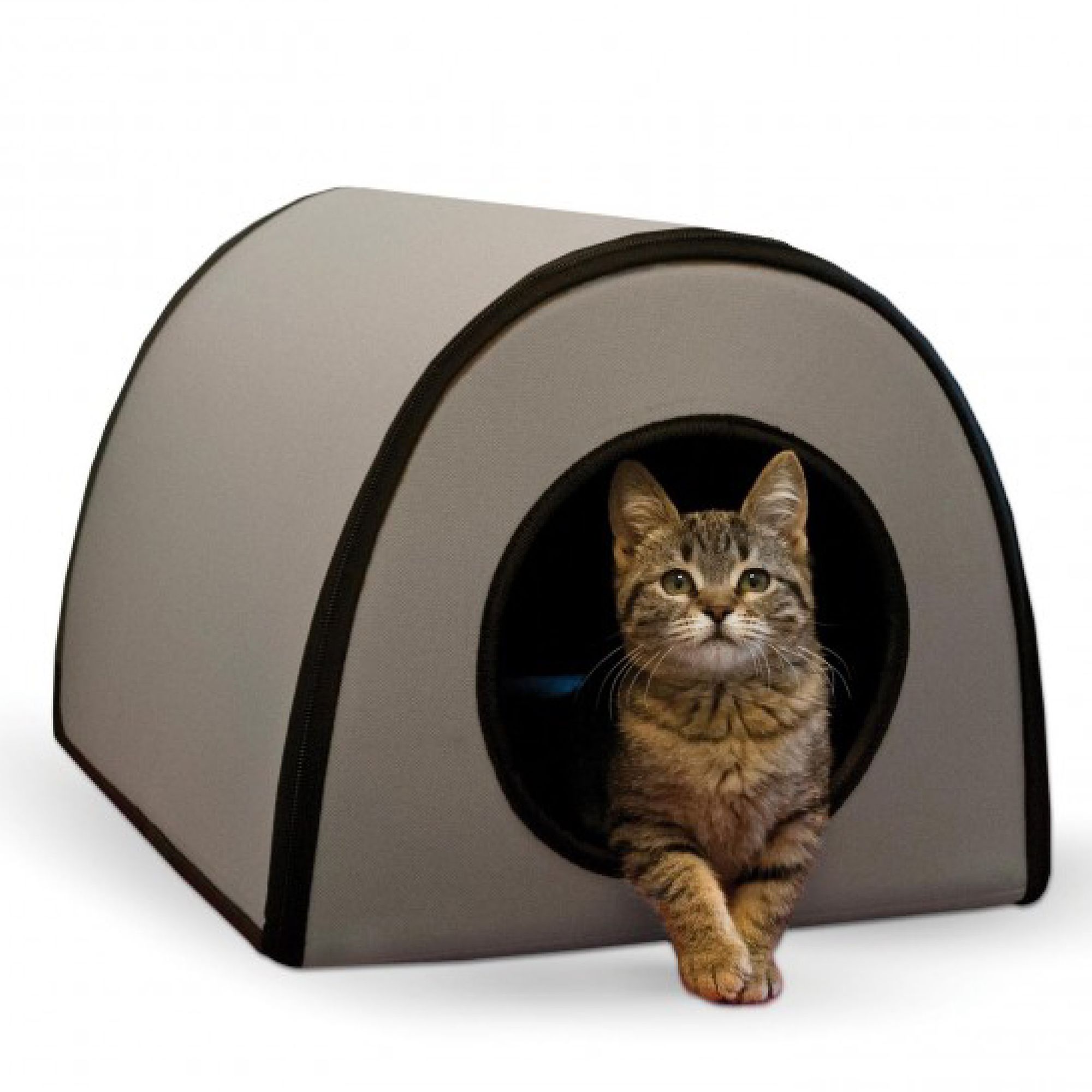 Petsmart cat supplies best sale