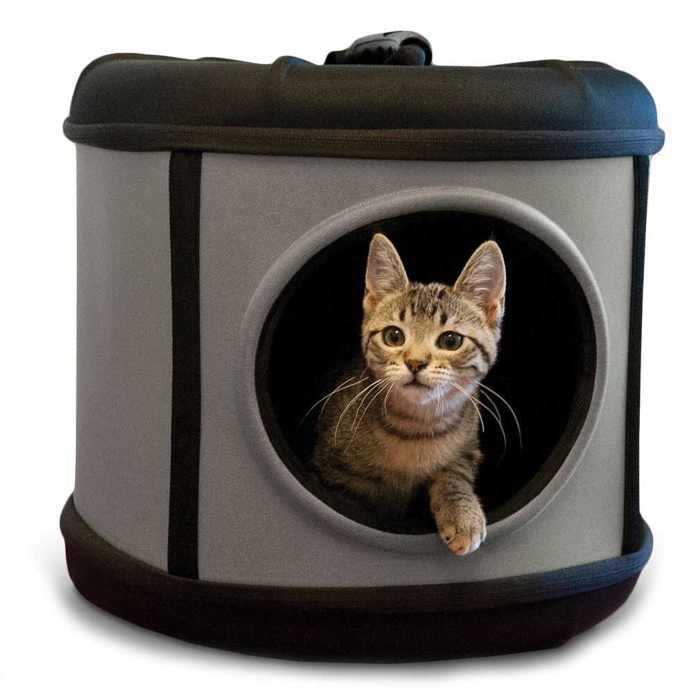 petsmart cat carrier