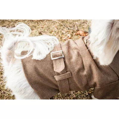 Product Pet Life Belted Wool Coat