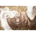 Pet Life Belted Wool Coat image thumbnail 5