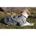Pet Life Military Wool Coat image thumbnail 4