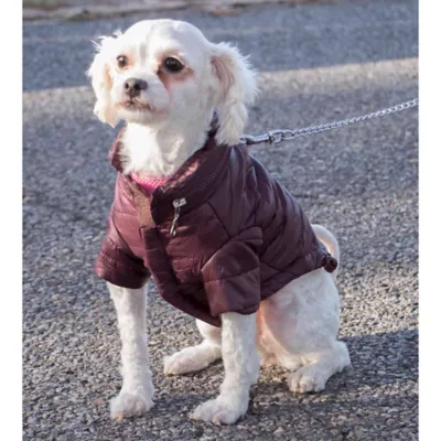 Pet Life Lightweight Sporty Avalanche Coat - Image 5