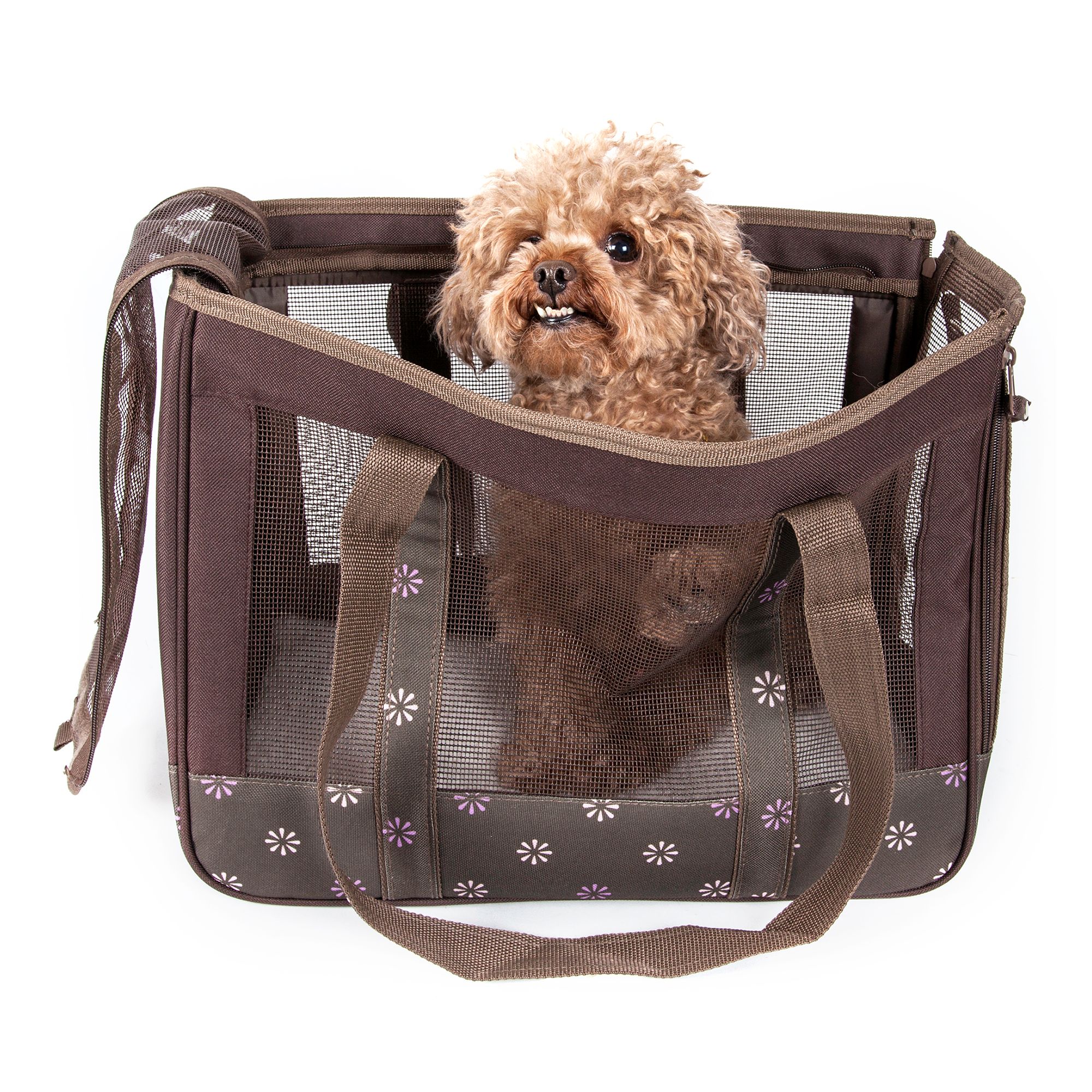 Dog carrier backpack store petsmart