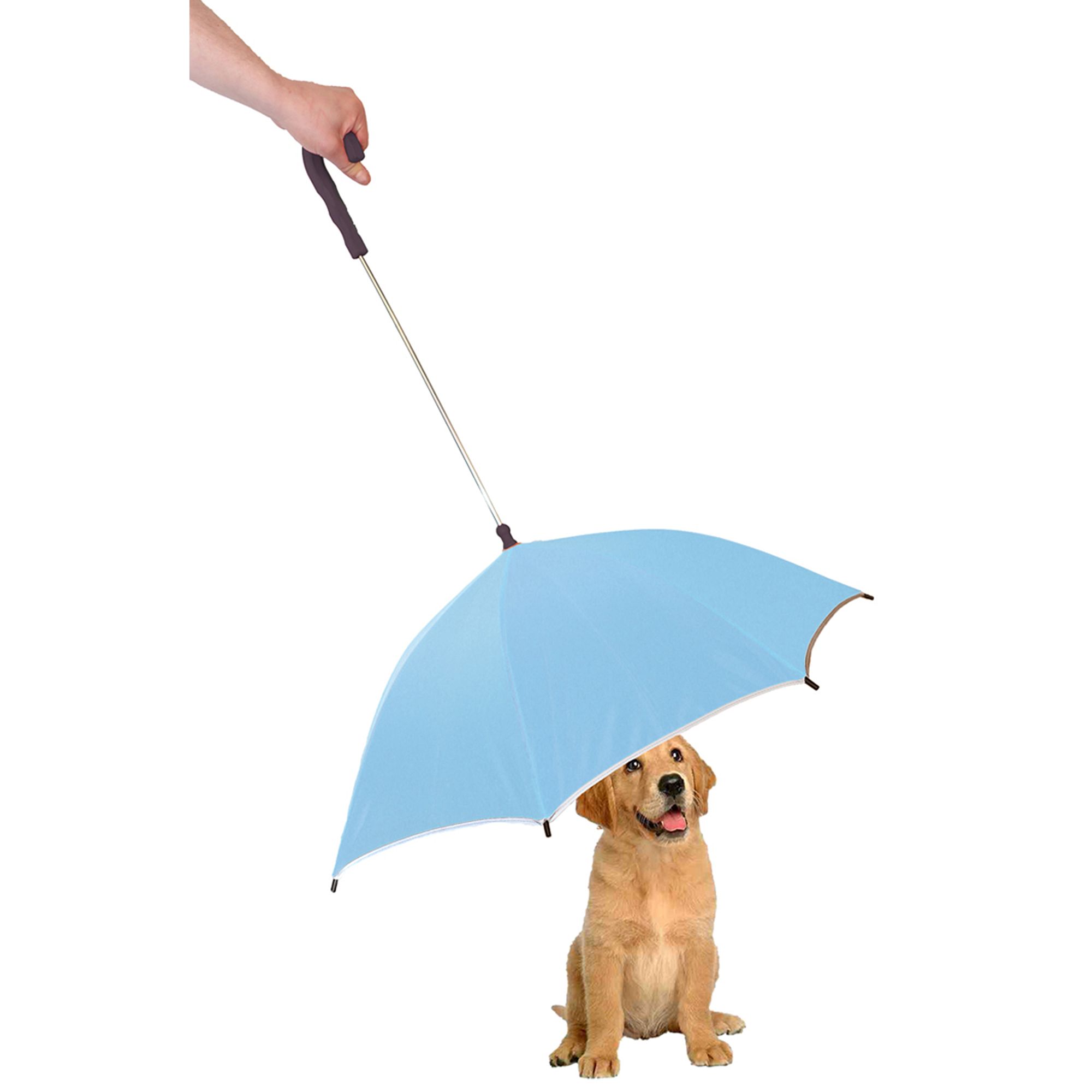 umbrella for dog leash