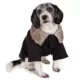 Product Pet Life Buttoned Faux Fur Coat