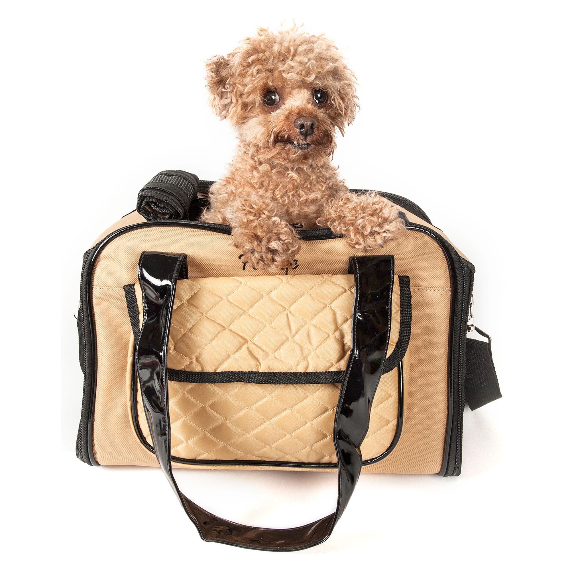 petsmart pet carrier airline approved