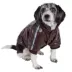 Pet Life "Wuff-Rider" Coat image thumbnail 1