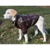 Pet Life "Wuff-Rider" Coat image thumbnail 5