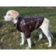 Product Pet Life "Wuff-Rider" Coat