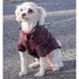 Pet Life Lightweight Sporty Avalanche Coat image thumbnail 5