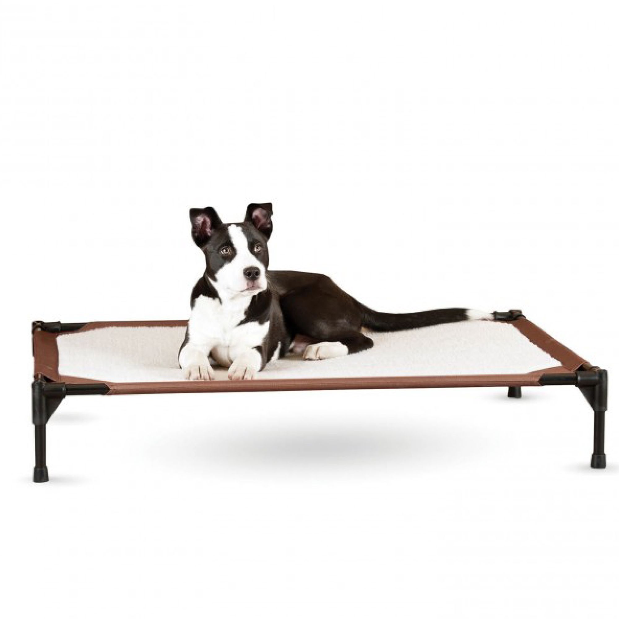 Petsmart raised outlet dog bed