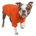 Pet Life Comfort Hoodie image thumbnail 1