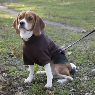 Product Pet Life Comfort Hoodie
