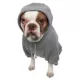Product Pet Life Comfort Hoodie