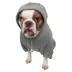 Pet Life Comfort Hoodie image thumbnail 2