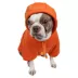 Pet Life Comfort Hoodie image thumbnail 2