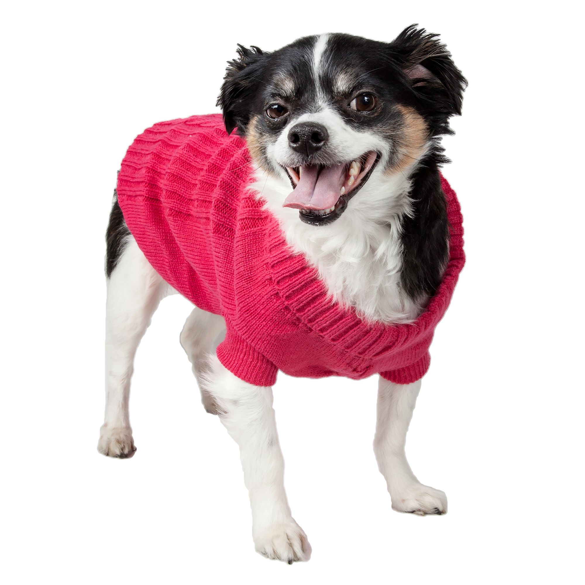 petsmart dog jackets