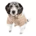 Pet Life Polka Dot Hooded Sweater image thumbnail 2
