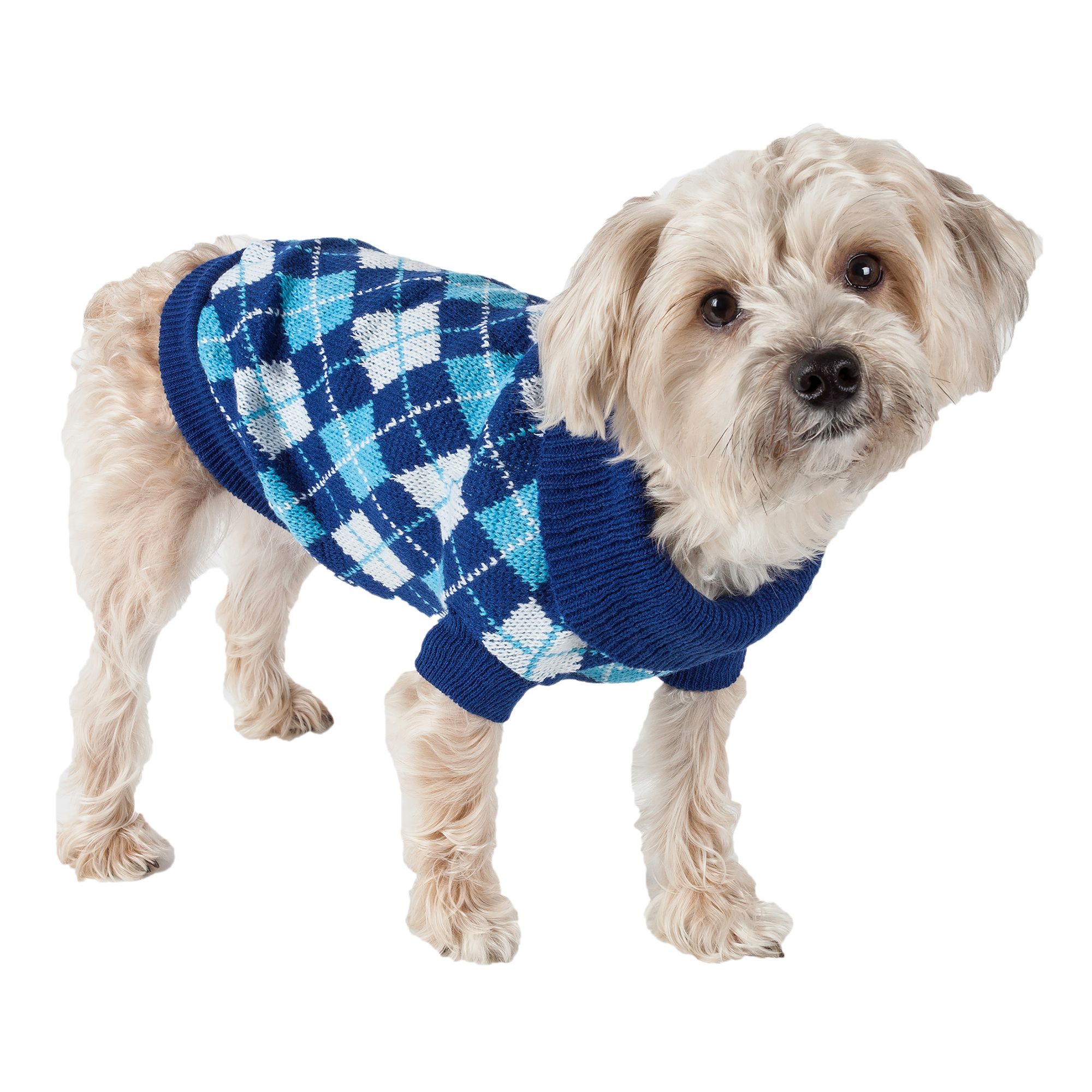 Dog 2025 sweater petsmart